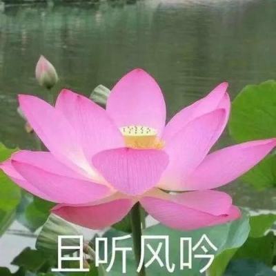 唐书海同志任陕西省委常委